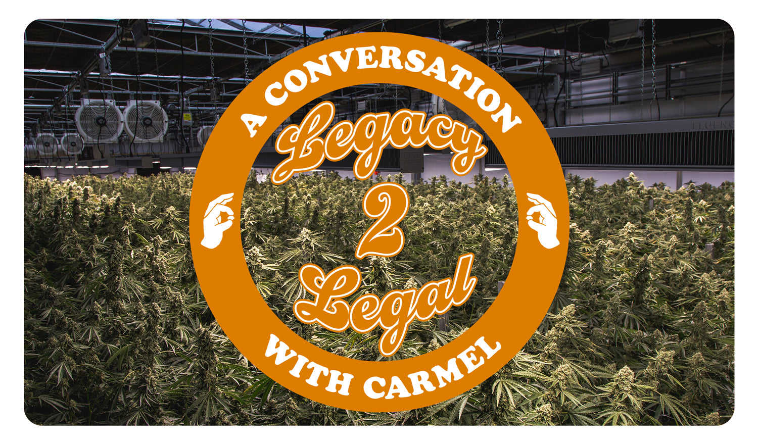 Carmel Cannabis - Legacy To Legal
